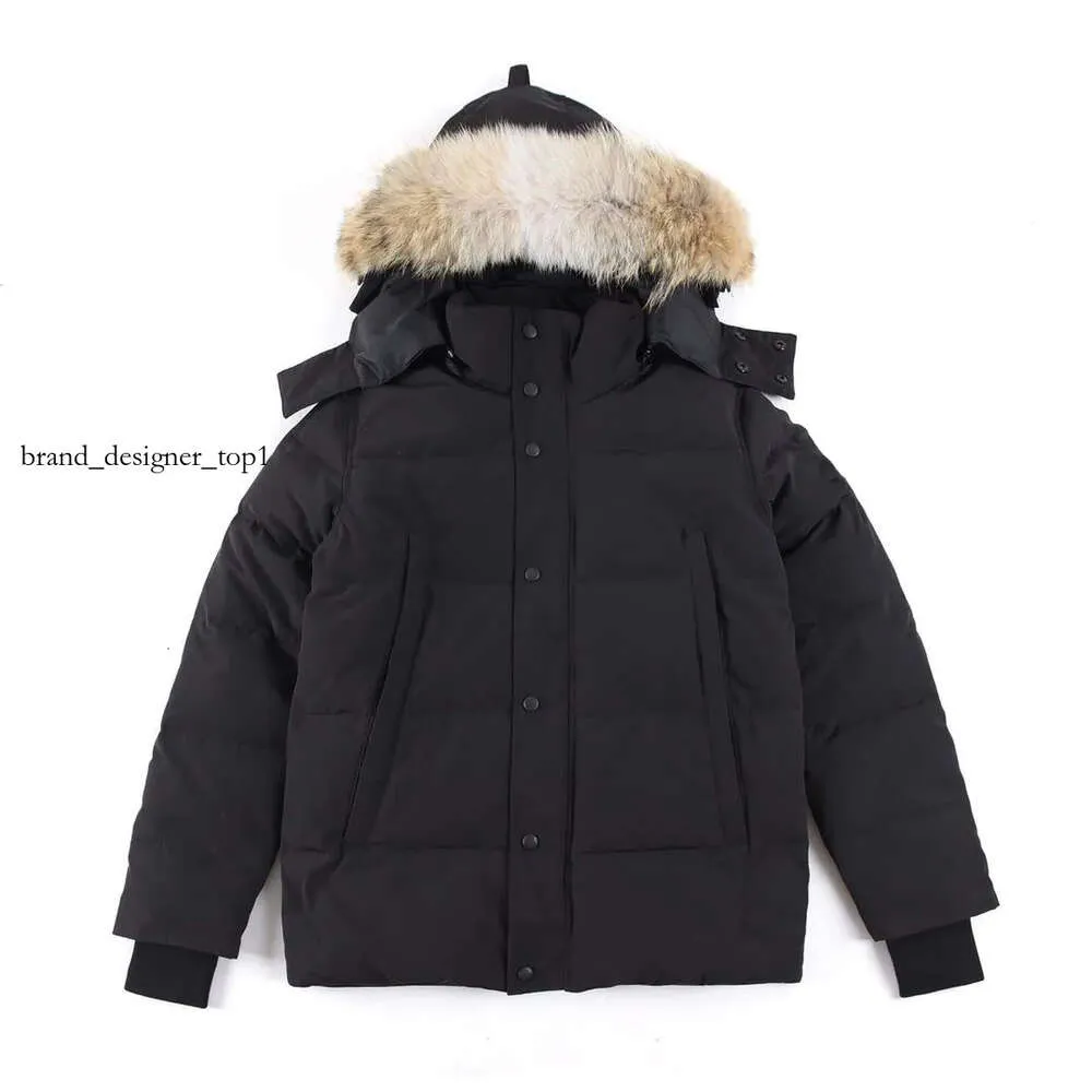 mens jacket Canadaa Goose down Jacket Down Parkas Men's Womans Down Parkas Puffer Jacket Coat CAN Gooses brand Long Canadass Goose Maple Leaf Down Jacket Stone