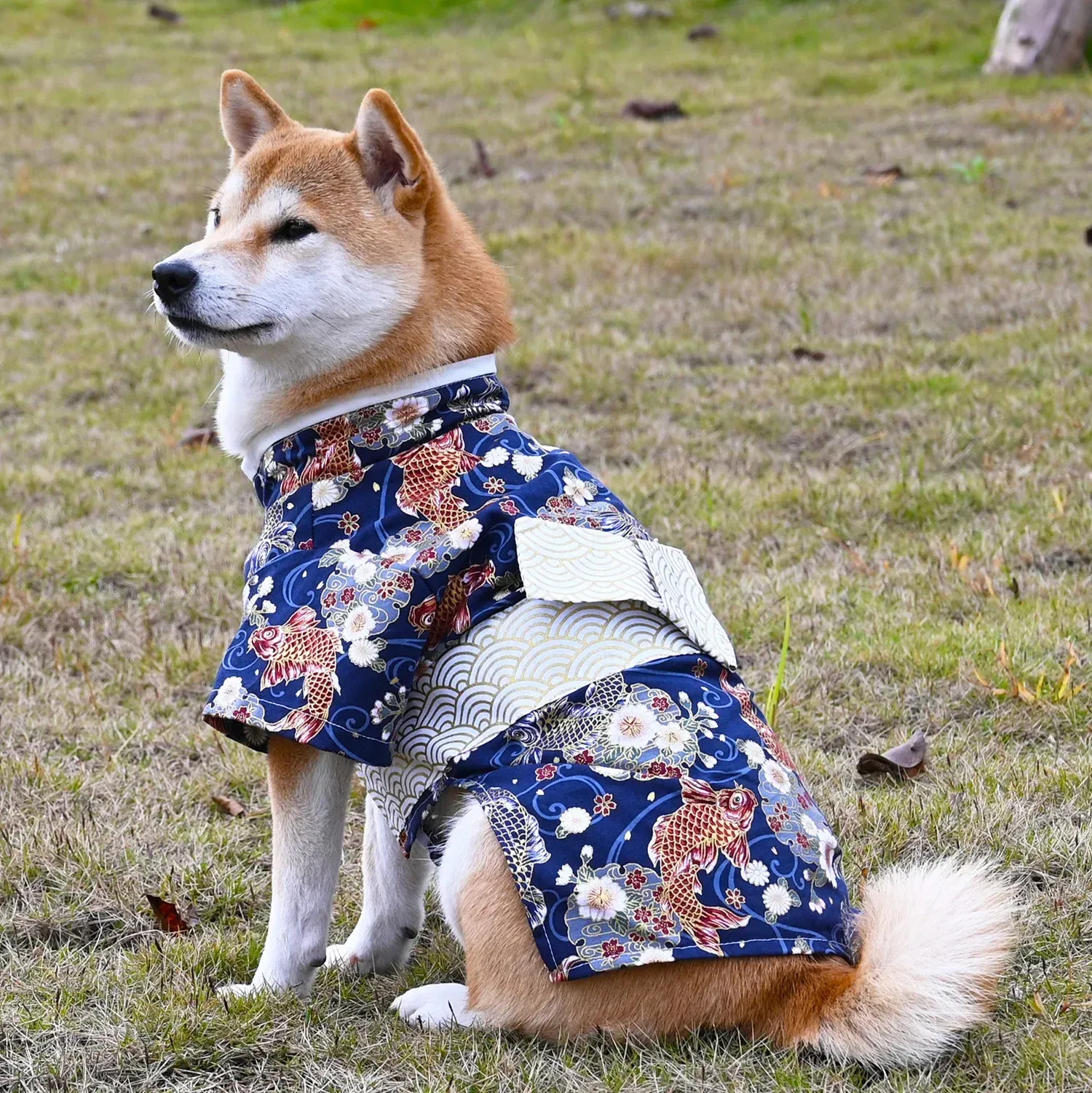 Japanese Dog Costumes: Finding the Right Fit & Style