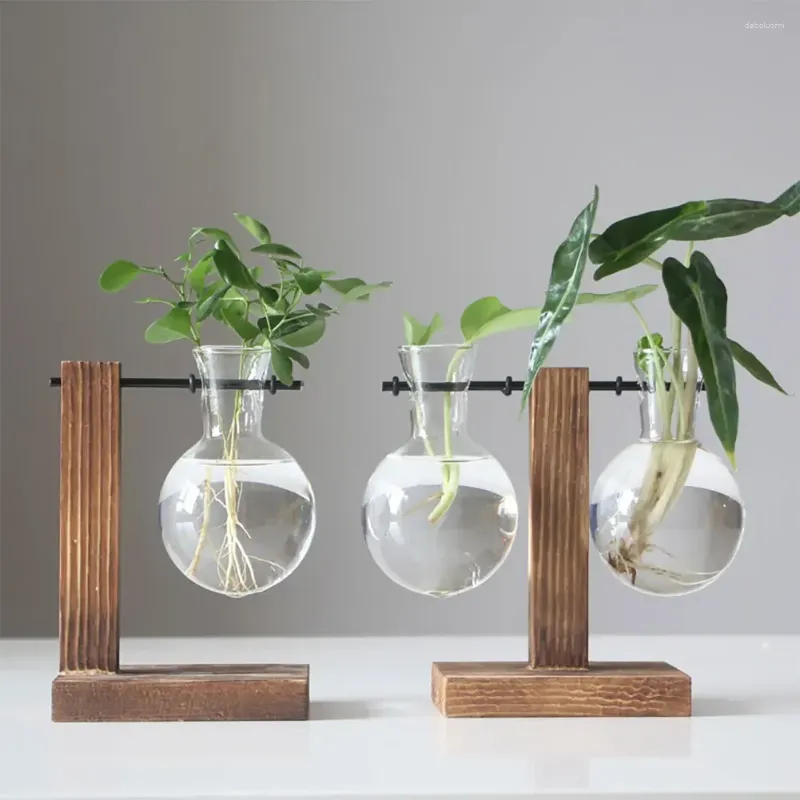 Vases en verre de plante hydroponique avec support en bois Bonsaï Bosaï Planteur de bureau