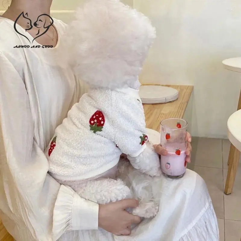 Vêtements pour chiens automne hiver saignement en peluche de animaux de compagnie chaude plie à sweat à sweat à sweat de chat veste mode bichon en peluche