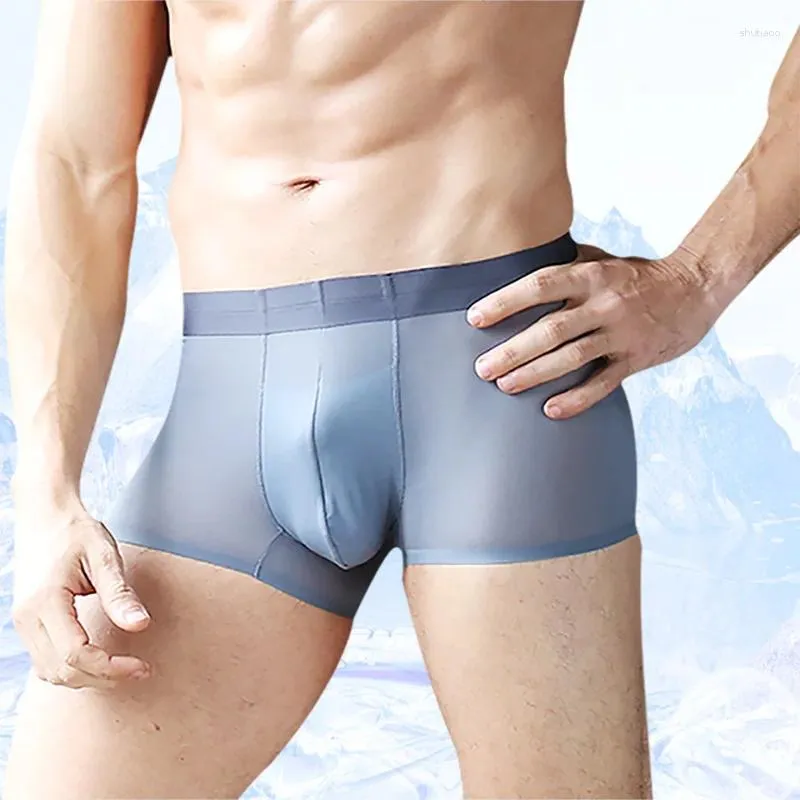 Sous -uls Luxury Ultra Thin Boxers Soft Ice Silk Boxer Men Breatchable Solid Solid Transparent Mens Underwear 2pcs / Lot