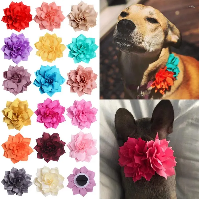 Abbigliamento per cani 50/100 pezzi di cat bowties Collar Accessori con colletti di fiori scivolosi papite per animali domestici