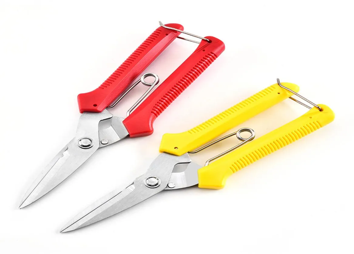 Segurança do Garden Home Garden Scissors acentuadamente com várias cores Branch Scissor Red Amarelo Prevenir o cabo de deslizamento A podar tesouras vendendo 1029708