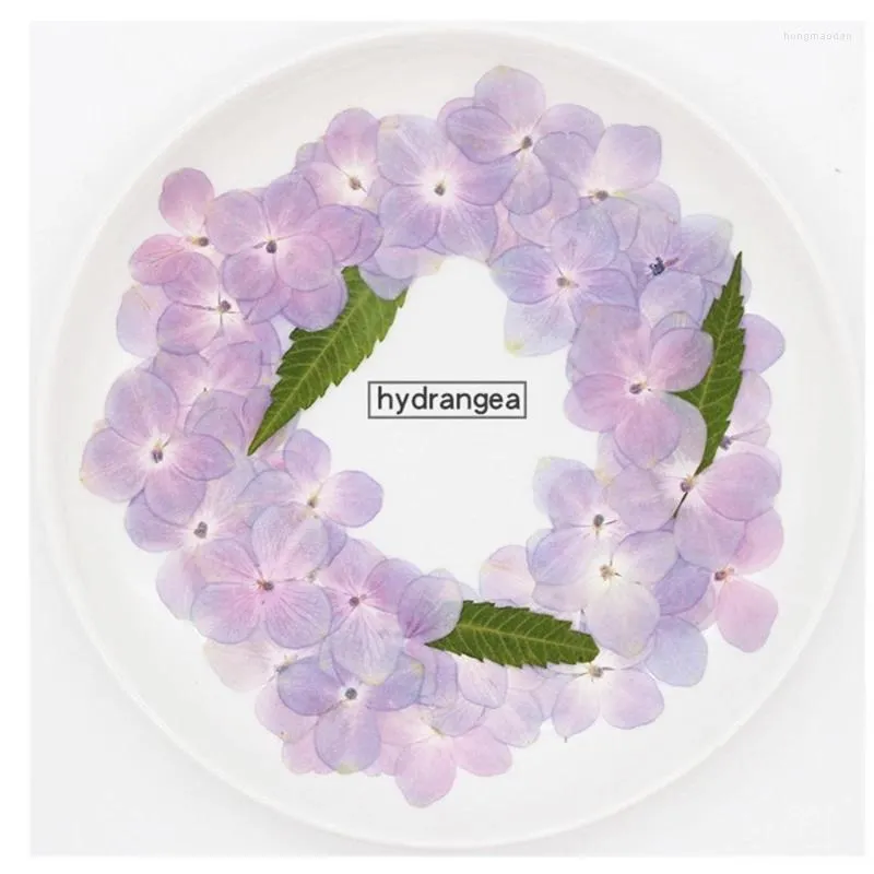 Dekorativa blommor n7md 60 st naturliga hortensia diy torkade UV -exponeringshartsformfyllningsblomma