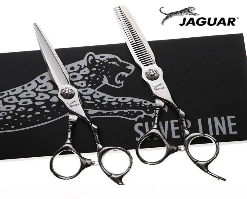 6 -tums professionell frisörsax set Cuttingthinning Barber Shears Högkvalitativ personlighet Frisessax 30 tänder3843538