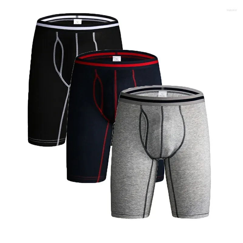 Sous-pants 3pcs / lot de longue jambe coton hommes Men de coton Boxer boxershorts Panty Homme Male Sexy Men's Pagetes for Man Cueas