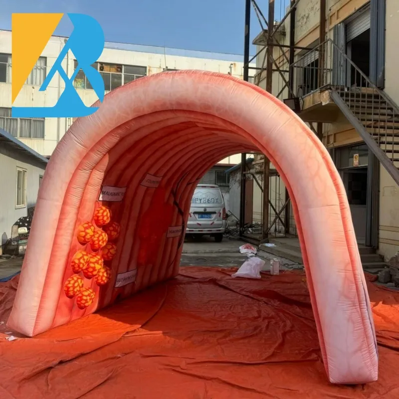 Bespoke Events Decorative Giant Inflatable Intestine Tunnel for Medical Exhibition Props