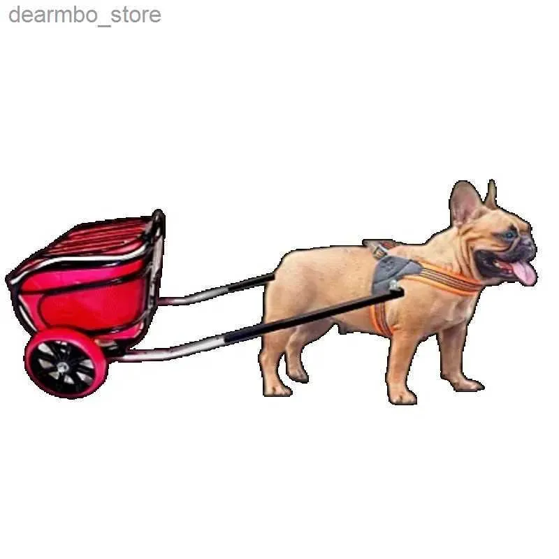 Randonnée pour animaux de compagnie à deux roues pour chiens pour petit dos parfait pour les activités Shoppin et les activités de plein air.