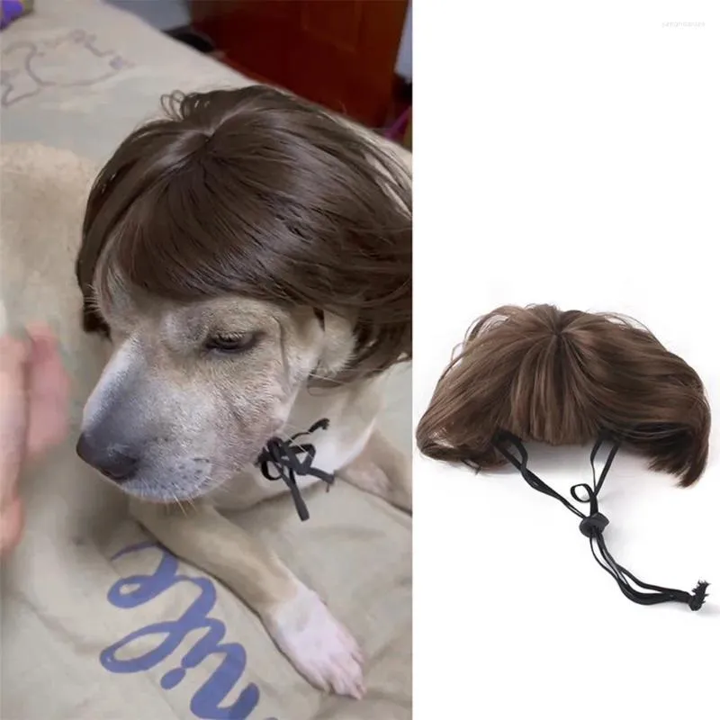 Katzenkostüme Haustier Perücken Cosplay Requisiten Dog Cross-Dressing Hair Set POFORY Witzige Kopfzubehör Streichzubehör DIY