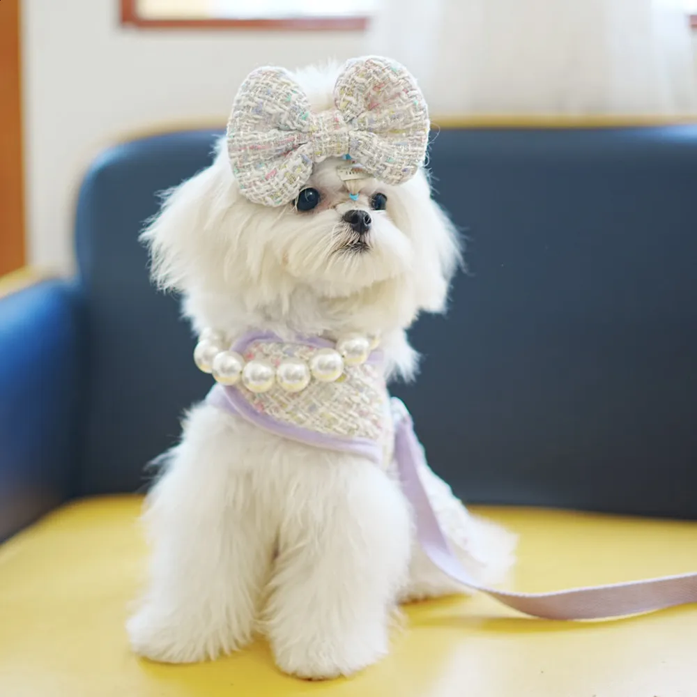 Shop fancy small dog harness Online Sale