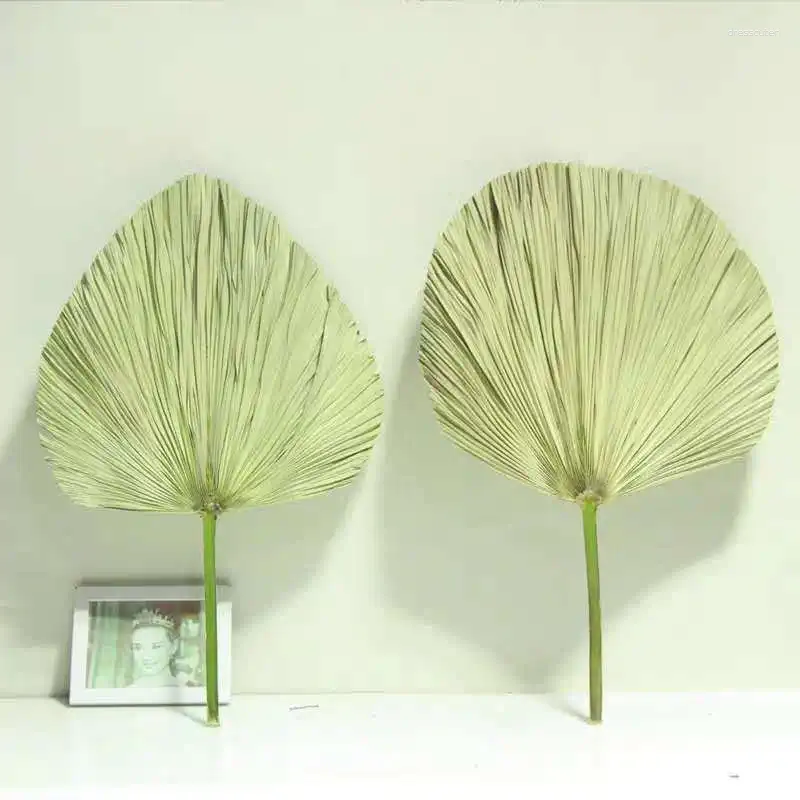 Decorative Figurines 2 Pcs Dry Cattail Leaf Palm Sunflower Banana Material Wedding Decoration