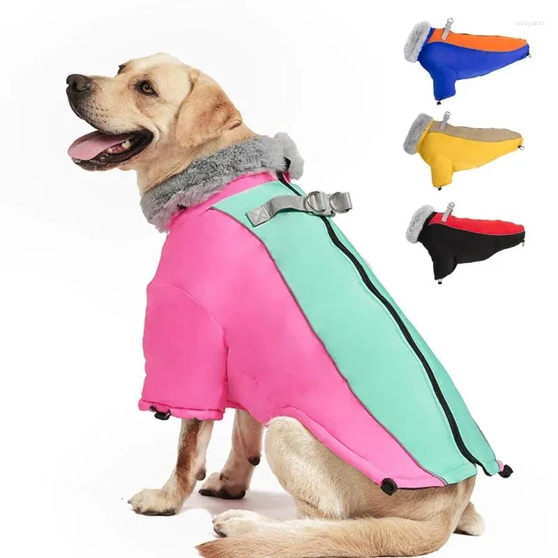 Vêtements pour chien Vêtements hiver