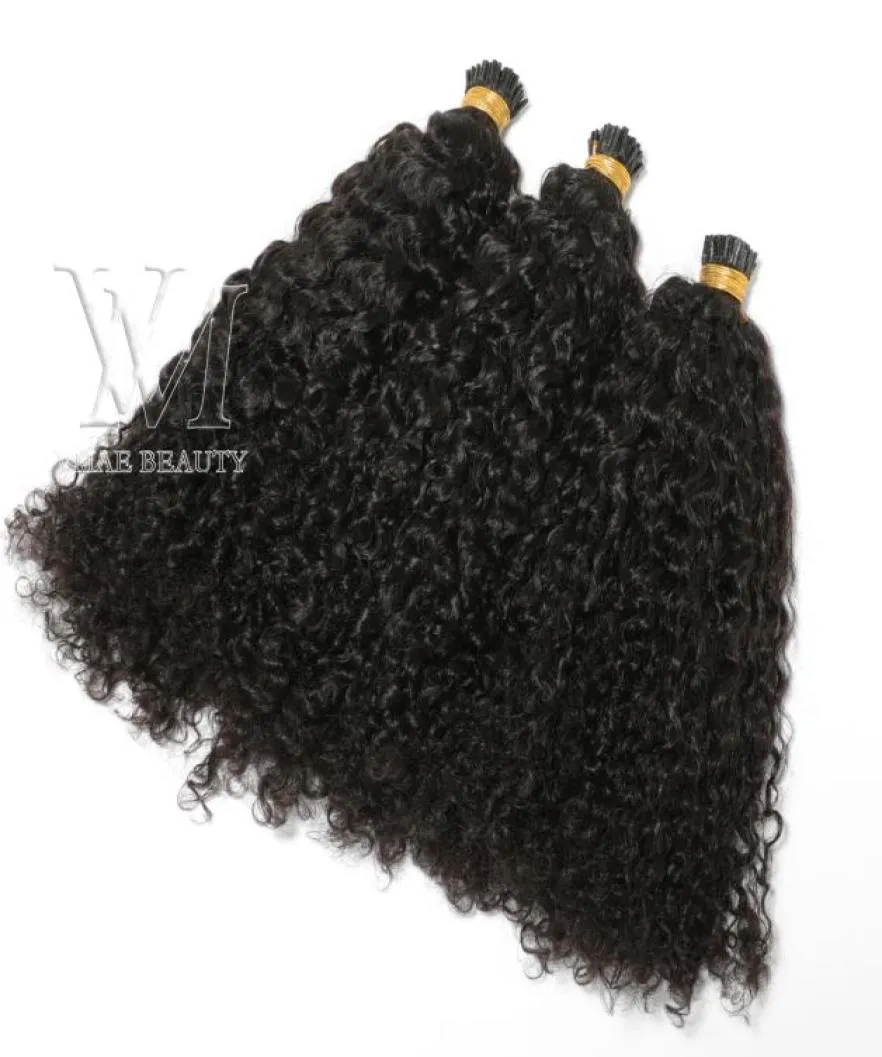 Peruvian I WISKA Włosy Wydłużenia Niestandardowe Kinky Curly 100 pasm przed związanym kijem I Tip Keratin Fusion Human Hair Extension1779711