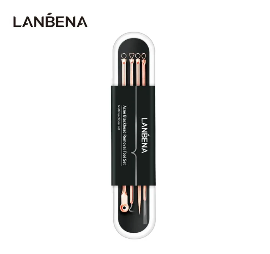 Lanbena 4pcsset in acciaio inossidabile in acciaio inossidabile Extractor Pore Cleanser Kit Blackhead Remover Face Skin Care Strumenti di cura della pelle 05656637085