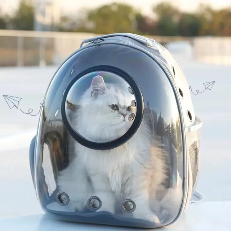 Zaino per animali domestici portatili per gatti capsula spaziale trasparente per zaino per esterni traspirante a grande capacità