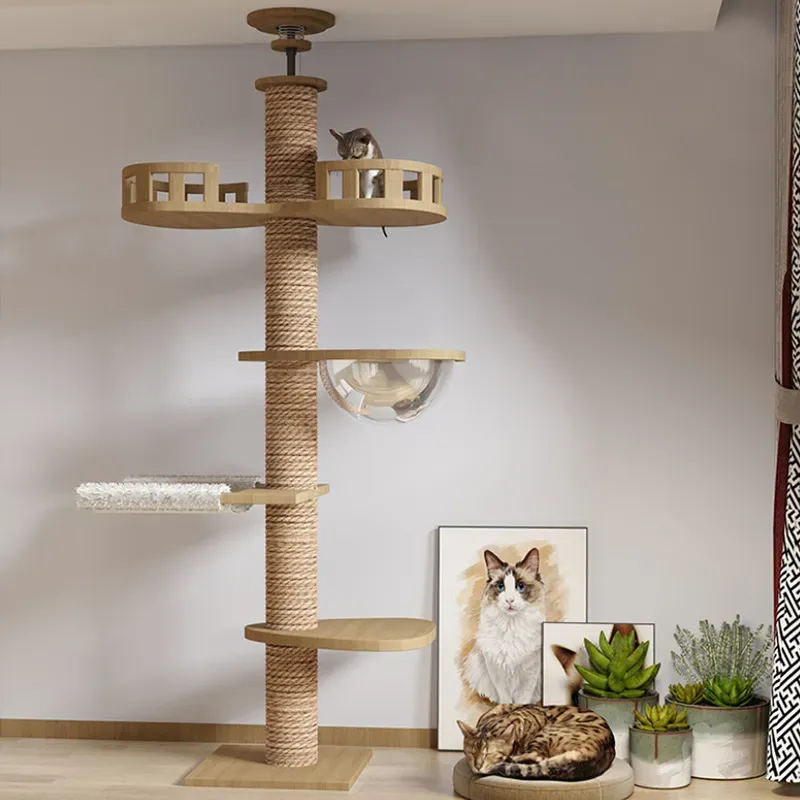 Scratchers Cat Furniture Scratchers Trädgolv till tak torn justerbar kattunge multilevel lägenhet med skrapning post pad hängmatta husdjur aktiv