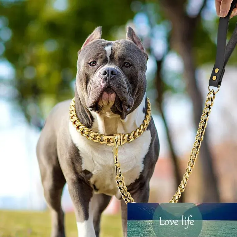 Simple Dog Collars and Leashes: 304 Stainless Steel Chain Collar and ...