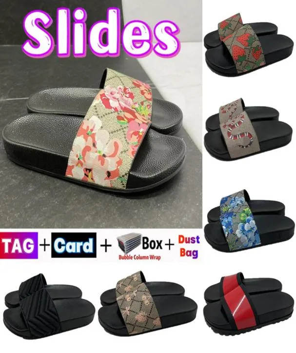 Designer slippers Rubber Slides Men Women Slipper with Box Dust Bag card womens Shoes black floral Strawberry print web Canvas gre5313580