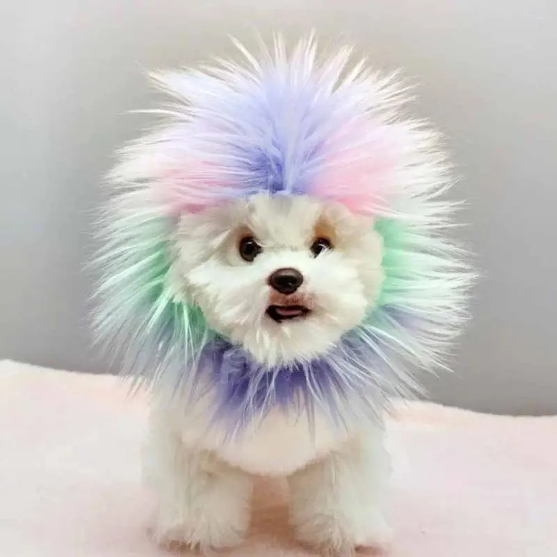 Hundebekleidung thematische Haustier Accessoire Lion Form Cosplay Hat niedliche Katzenperiere für Halloween -Partys Festliche Kostüme klein für Haustiere