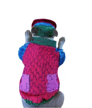 Ubrania zwierząt domowych Nowe kolorowe puli dżinsowe pulę pulę modną uroczą kurtkę Teddy/francuski buldog sznaucera krowa hurtowa