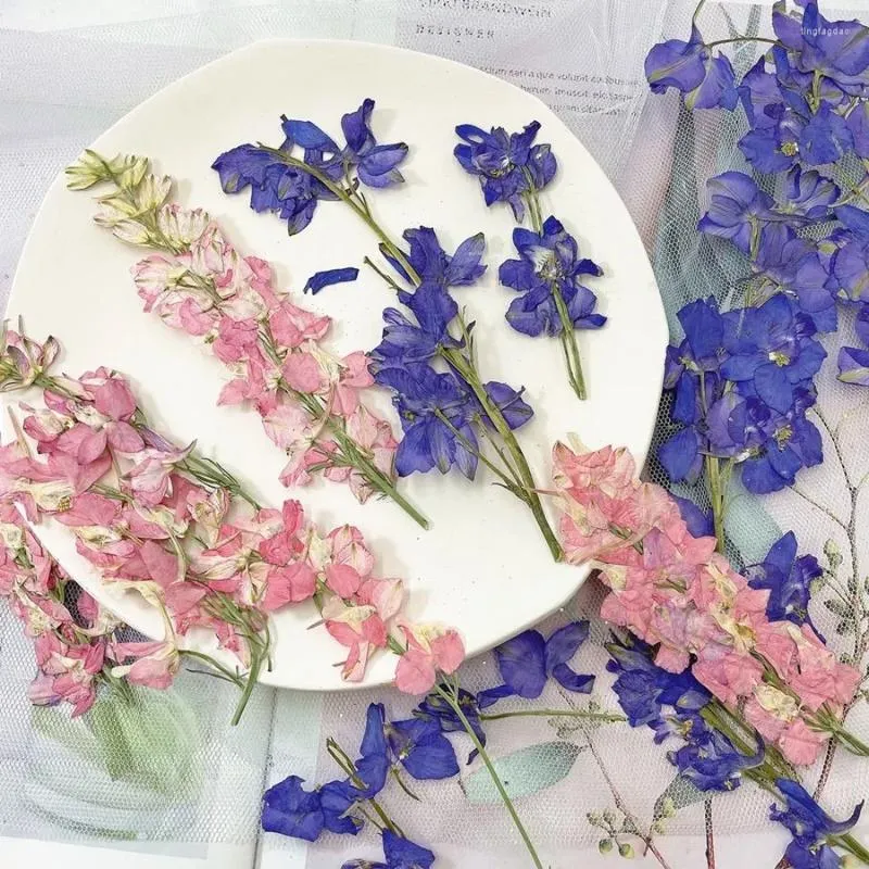装飾的な花60xプレス乾燥天然紫/ピンクガウラリンドハイメリの花の茎植物宝石の電話ケースフレーム