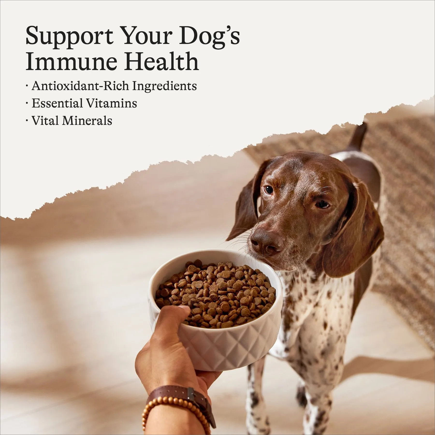 Brown Rice Canidae Dog Food Ingredients Pure~Balance Chicken Brown