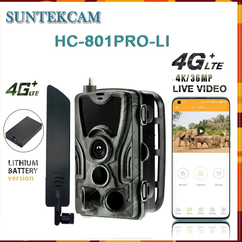 Cameras HC801proli 4G Video en direct 5000mAh Ihium Battery Hunting Trail Camera 30MP 4K App Cloud Service étanche IP65 Wildlife Cam
