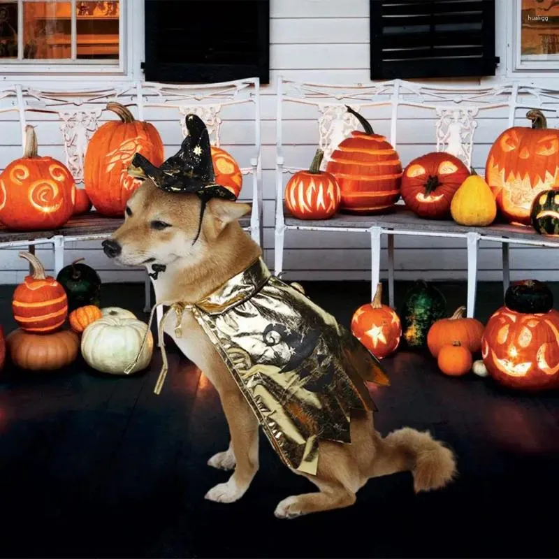 Hundkläder Witch Hat Cape för husdjur Justerbar husdjur Stylish Set Halloween Party Decoration Festliga katter