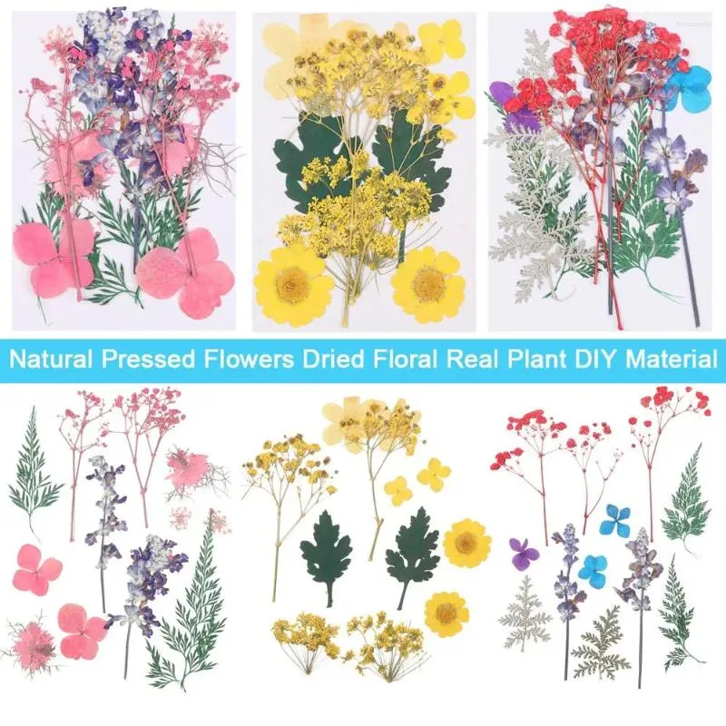 Dekorativa blommor Färgglada naturliga torkade blommorpressade blandade blad Verklig växthartsform Fyllning Diy Material Scrapbooking Decoration