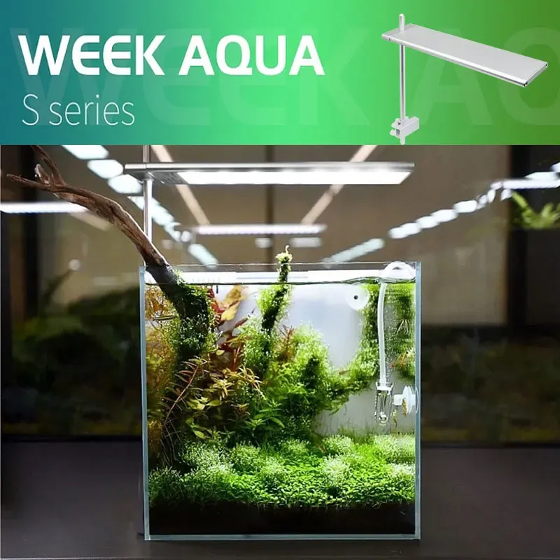 Aquariums Week Aqua Fishing Lamp S Series Small WRGB ADA Style Akvarium LED Ljus Tillbehör Fish Tank Fishbowl Decoration Aquascape