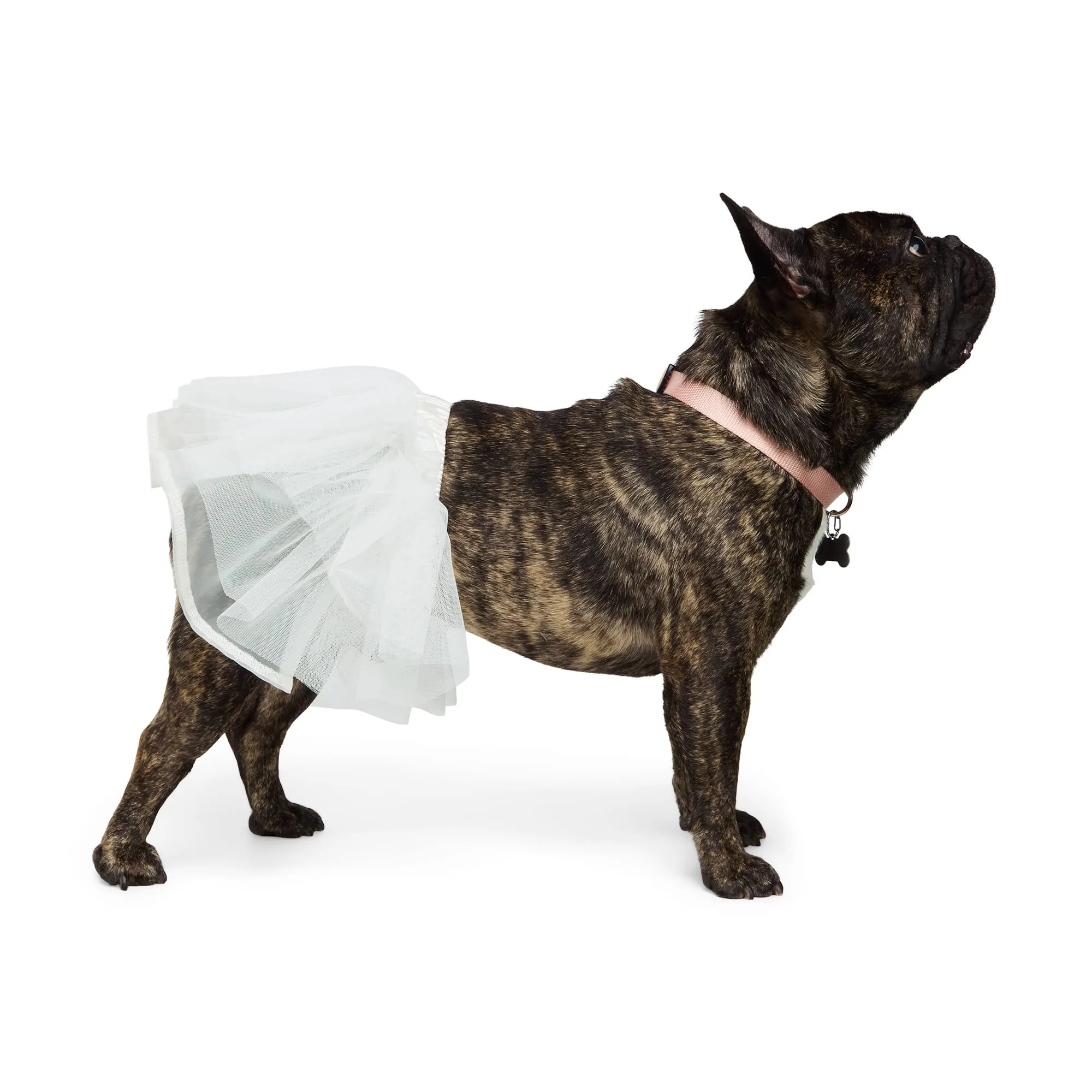 dog christmas tutu dress Dog Dress, Dog Christmas Dress, Cat Dress, Dog Wedding Dress, Dog Dresses for Large Dogs Girl, Girl Puppy Princess Tutu Dress with Leash Ring, Fashion Pet Dog Clothes for Birthday Wedding(2XL-Blue) -