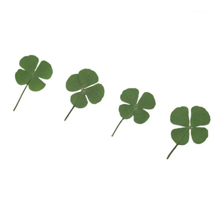 Decorative Flowers Wreaths 250pcs Pressed Dry FourLeaf Clover Leaf Plant Pendant Necklace Jewelry Production Process Diy Access9120449