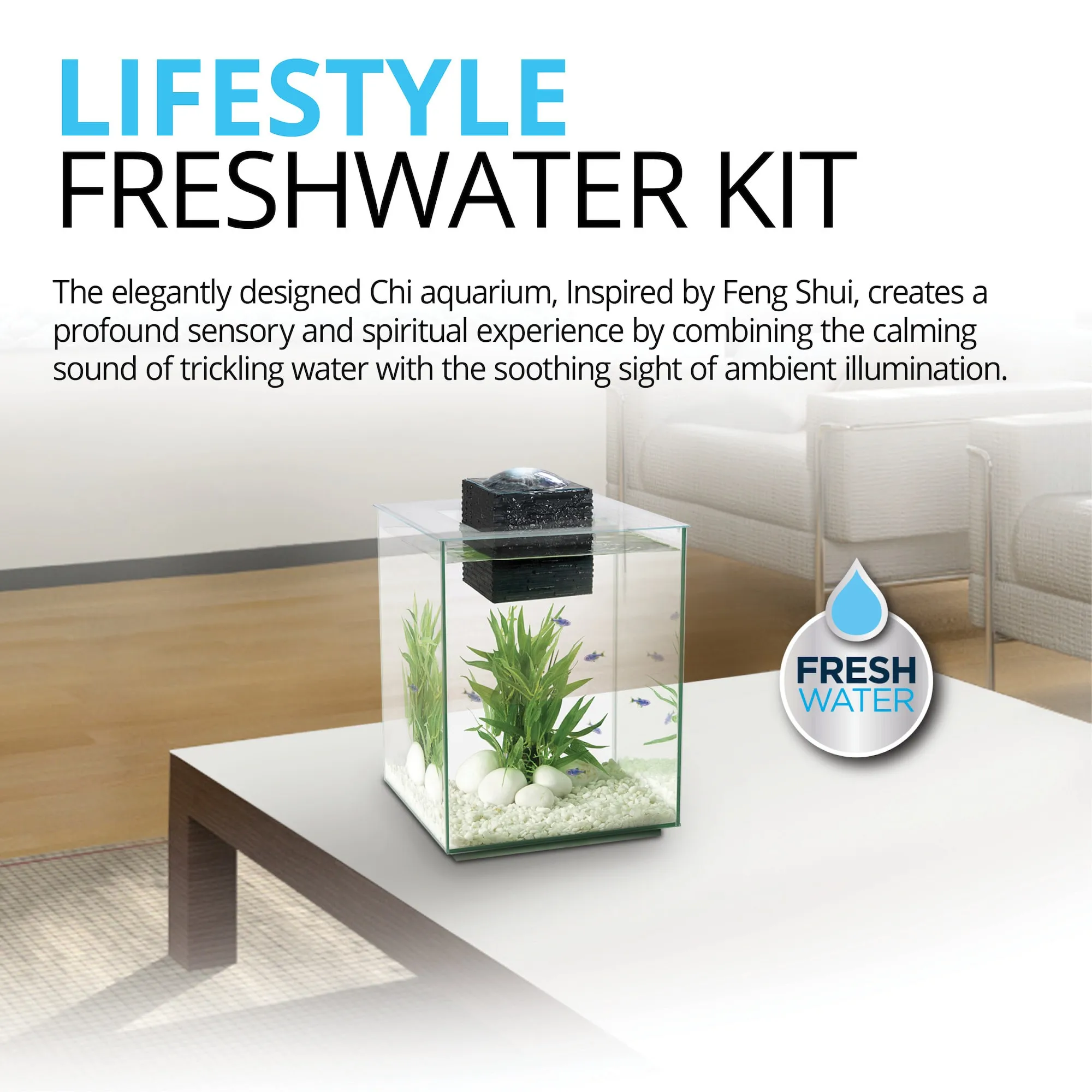 5 Gallon Aquarium Starter Kit - Premium Quality, Best Seller! Easy Setup,  Shop Now! from Dhgate Acrylic Aquariums - price 87.25, image size:2000x2000