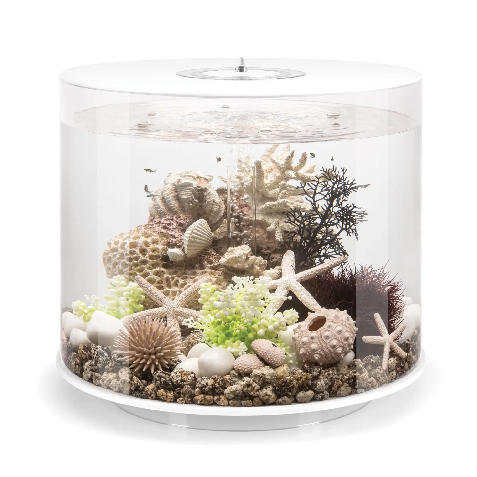 Stunning Gallon Cylindrical Aquarium with Multi-Color Lighting
