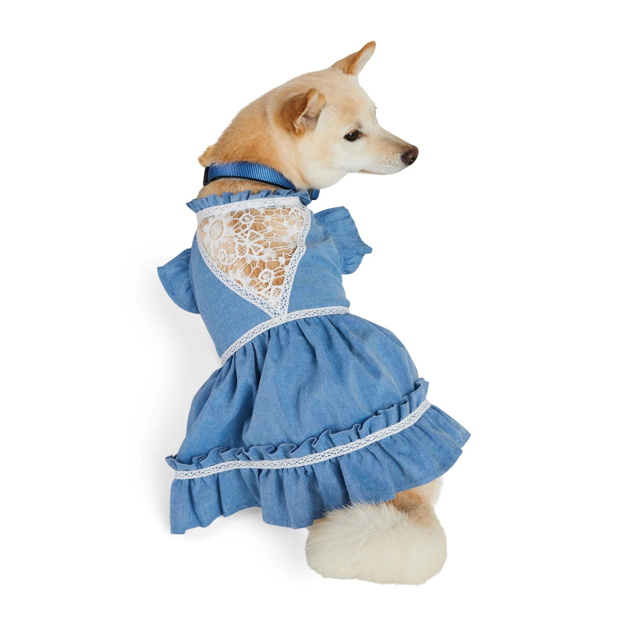 YOULY Chambray Lace Dog Dress, XX-Small, Blue from Dhgate Dog Dresses - price 7.31 YOULY Chambray Lace Dog Dress, XX-Small, Blue from Dhgate Dog Dresses - price 7.31
