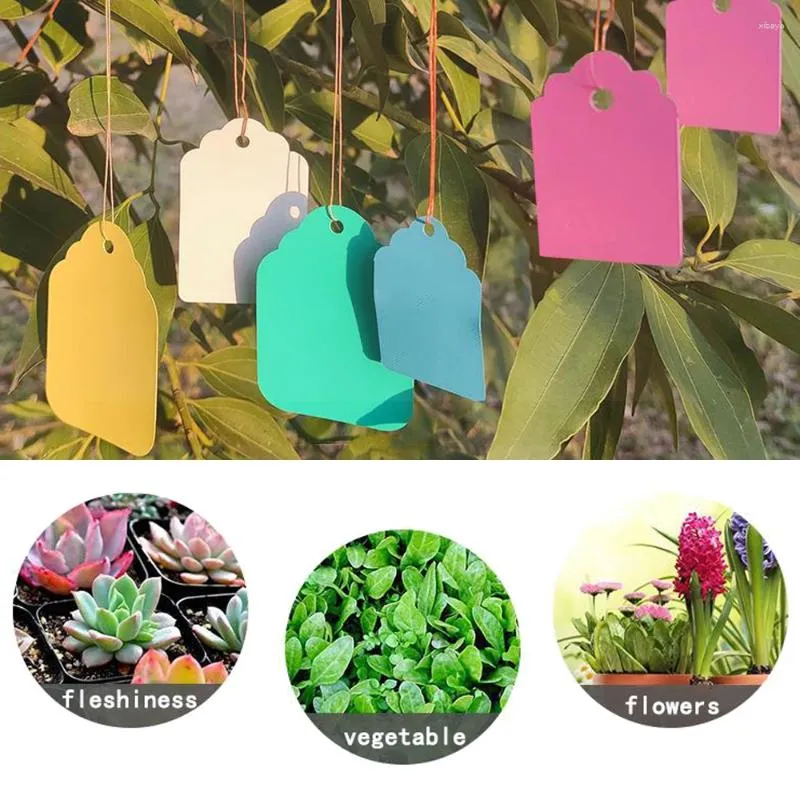 Figurine decorative 100pcs 3,6x2,5 cm 4,5x3 cm 5x3,5 cm 6x4cm 7x5cm Piante di appendi etichette tag di piantine giardino fiore tap in plastica in plastica