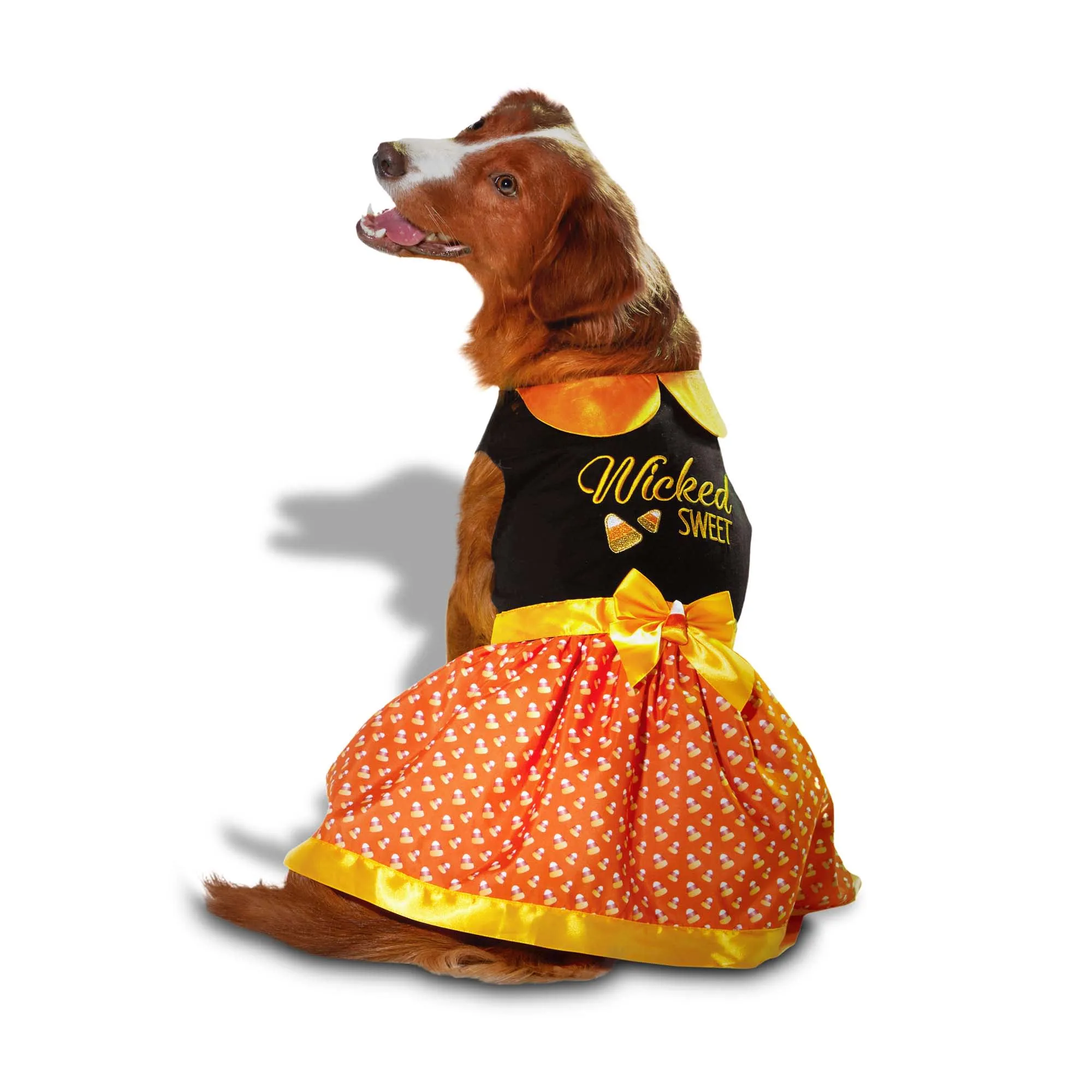 dogs dressed for thanksgiving Turkey Hat and Bandana Set - Pet Outfit, Thanksgiving Turkey Dog Hat, American Holiday Dog Hat, Bandanna Dog, Cat Hat Turkey Costume- Dog Thanksgiving Costume-