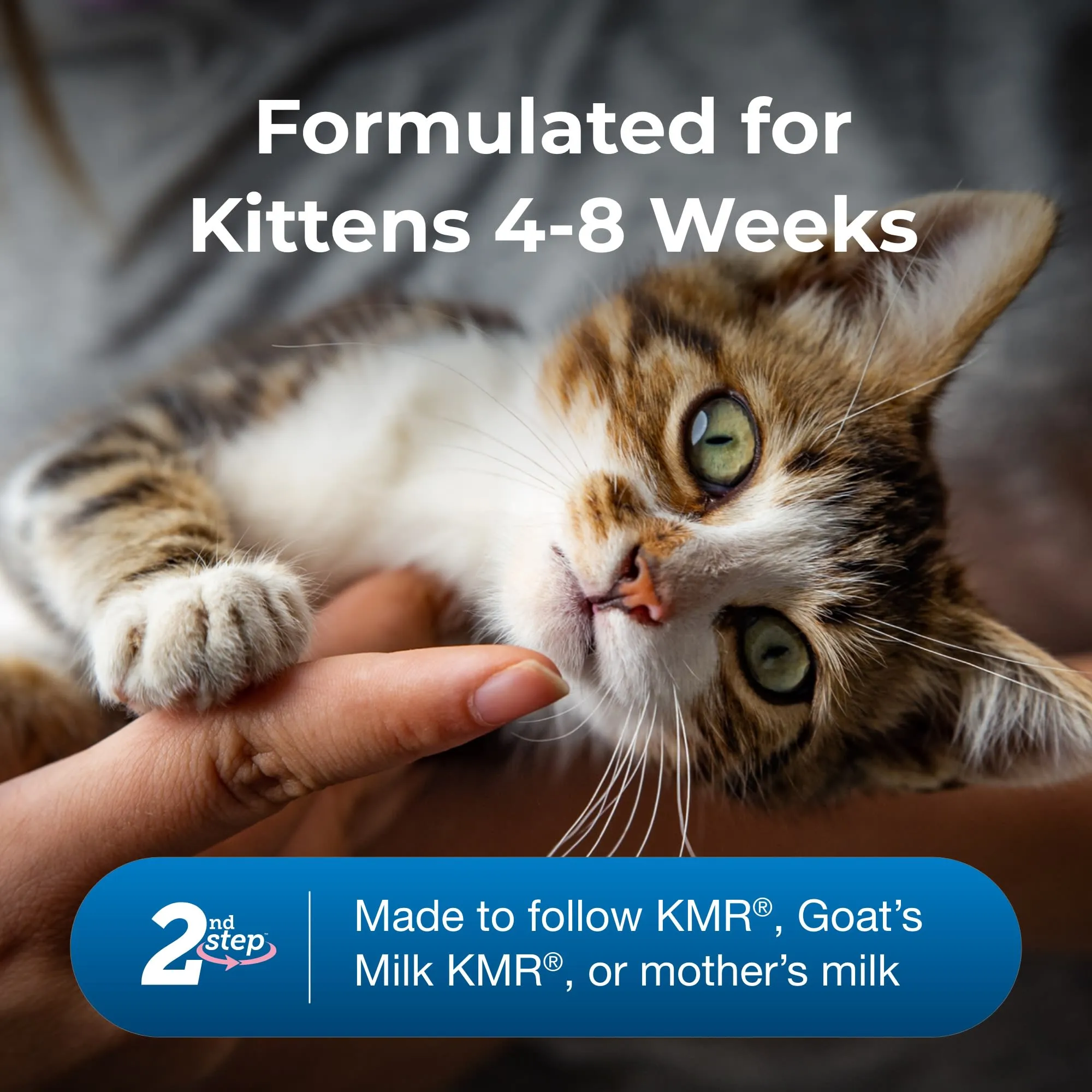 Kitten Weaning Formula Food 2nd Step, 14 oz, High Protein, Supports  Healthy Growth