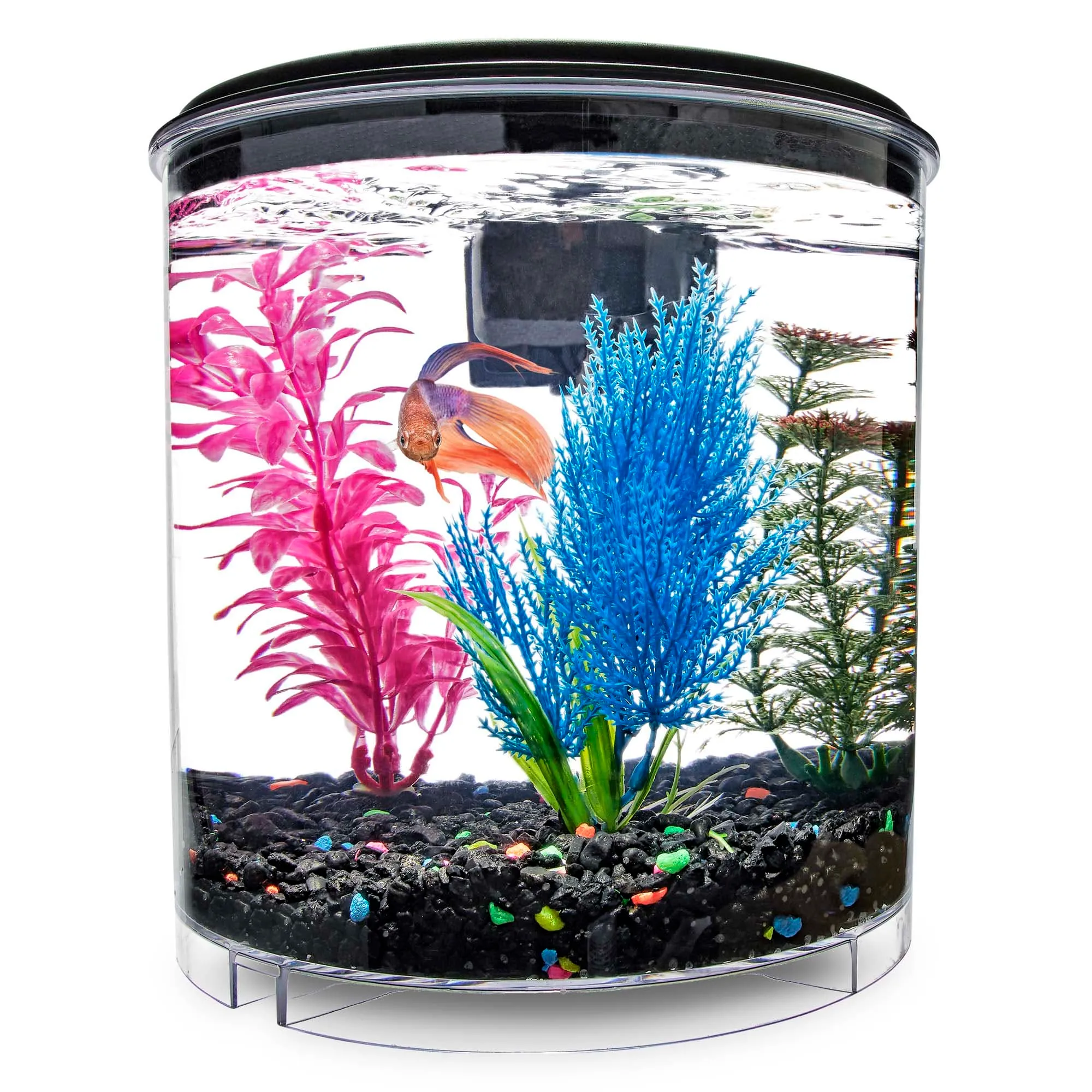 Compact Two Gallon Habitat: Ideal Starter Tank For Small Aquatic