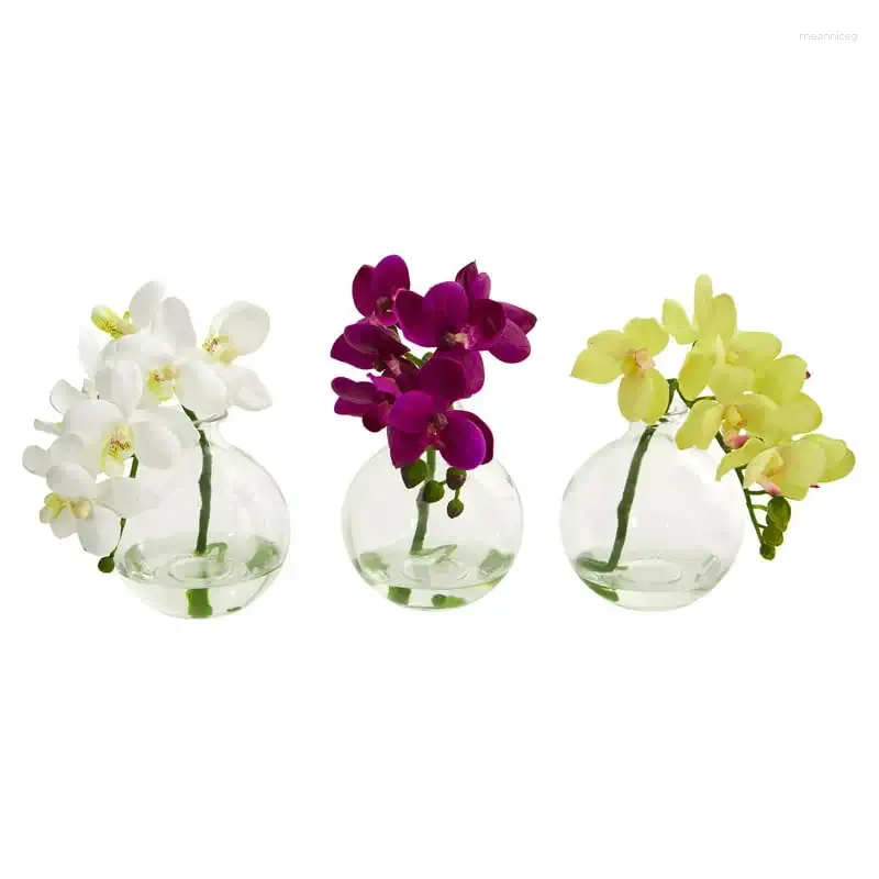 Dekorativa blommor Phalaenopsis Orchid Artificial Flower Arrangement i vasuppsättning av 3 flerfärgade telefonfall Eukalyptus Garlands Pompass