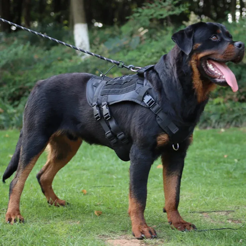 Dog Collar Large Dog Tactical Vest Tactical Dog Harness Vest With