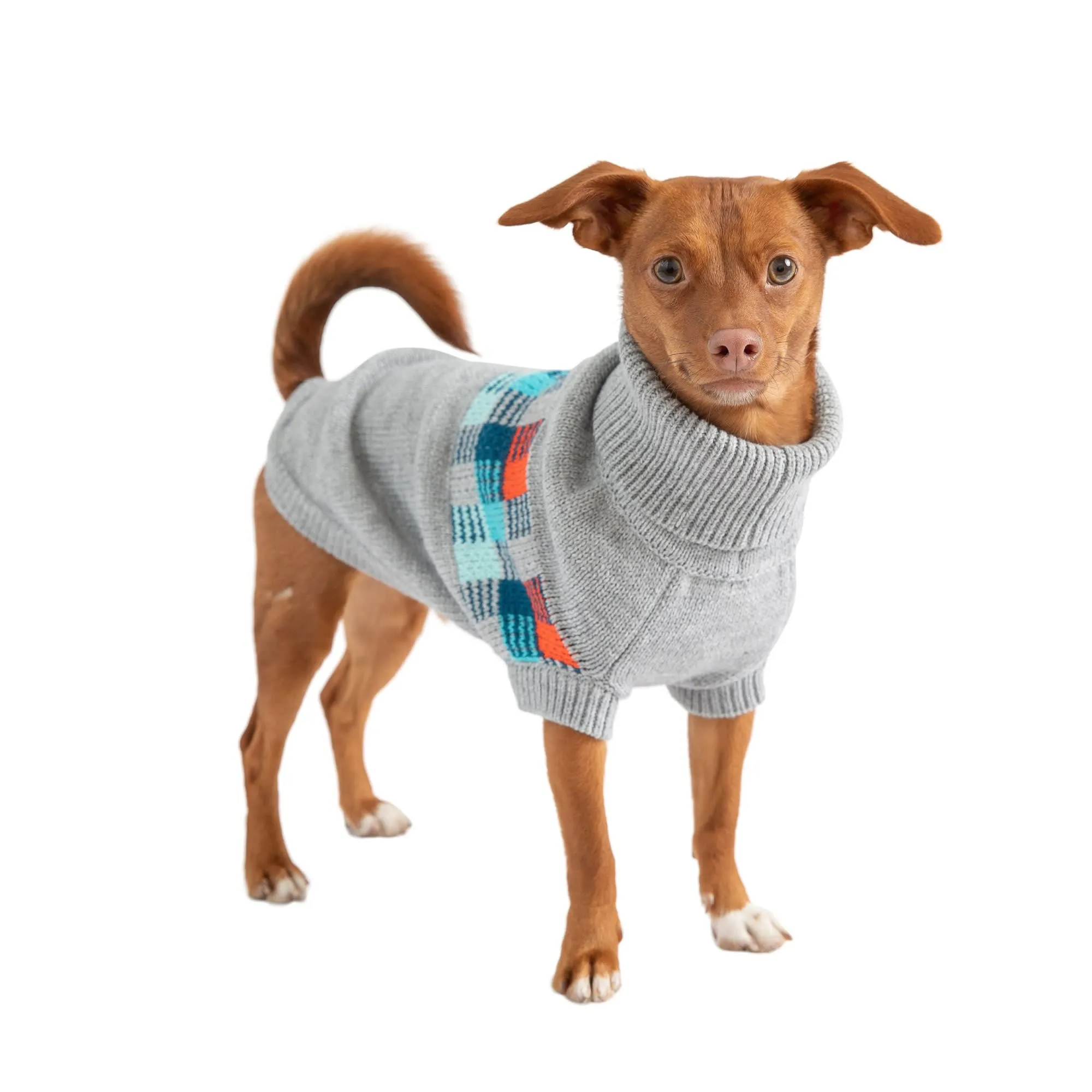 GF Pet Grey Winter Sailor Dog Parka, X Small From Dhbeauty001