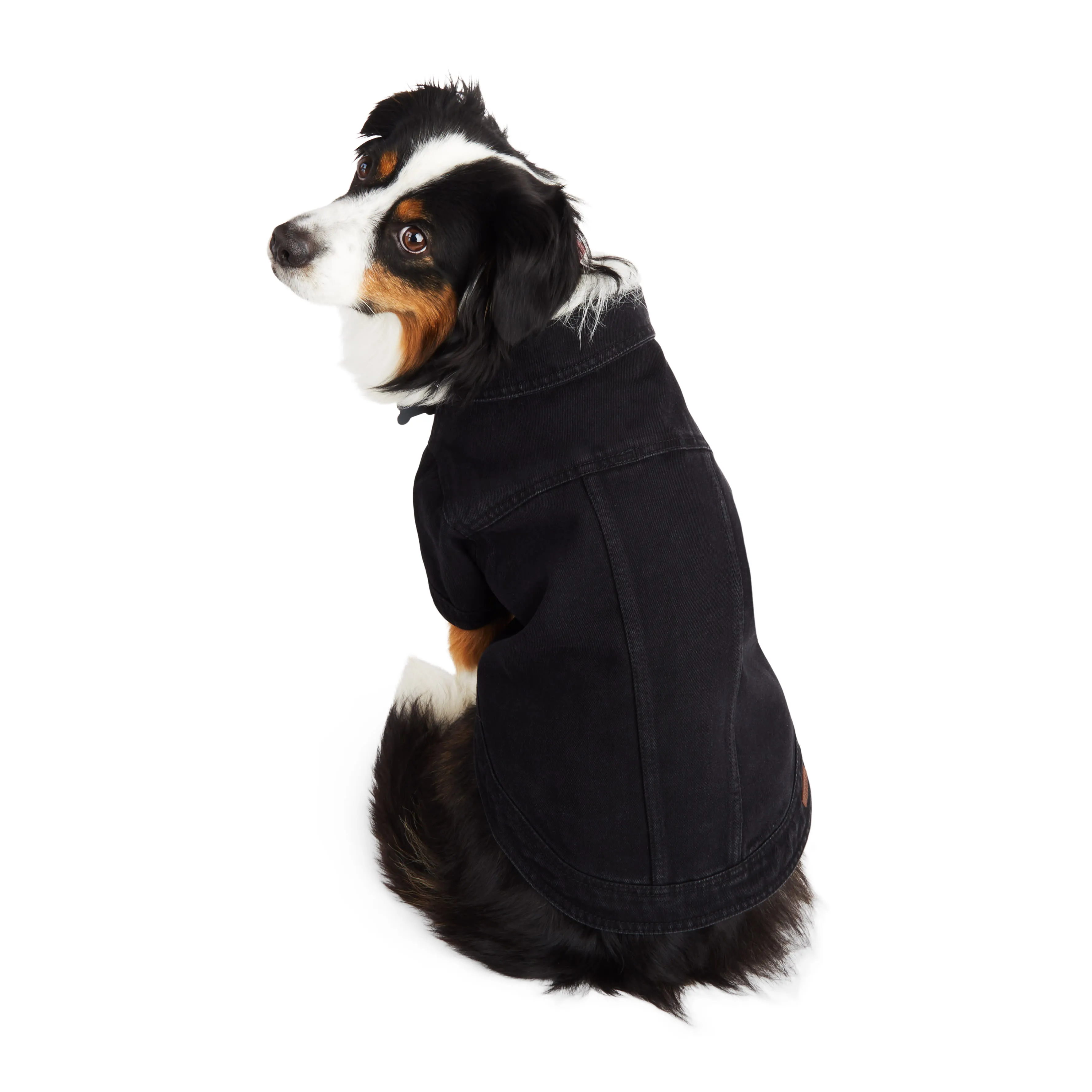 XX-Large Denim Dog Coat Classic Black Wash, Durable Stylish! Shop Now! - Main Image