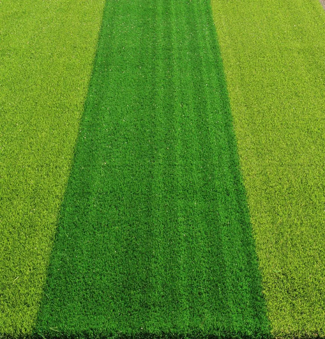 Benutzerdefinierte künstliche Graspflanzen Rasendekoration gefälschte Pflanzenwand Künstliche Gras Plastik im Freien Dekoration8271741