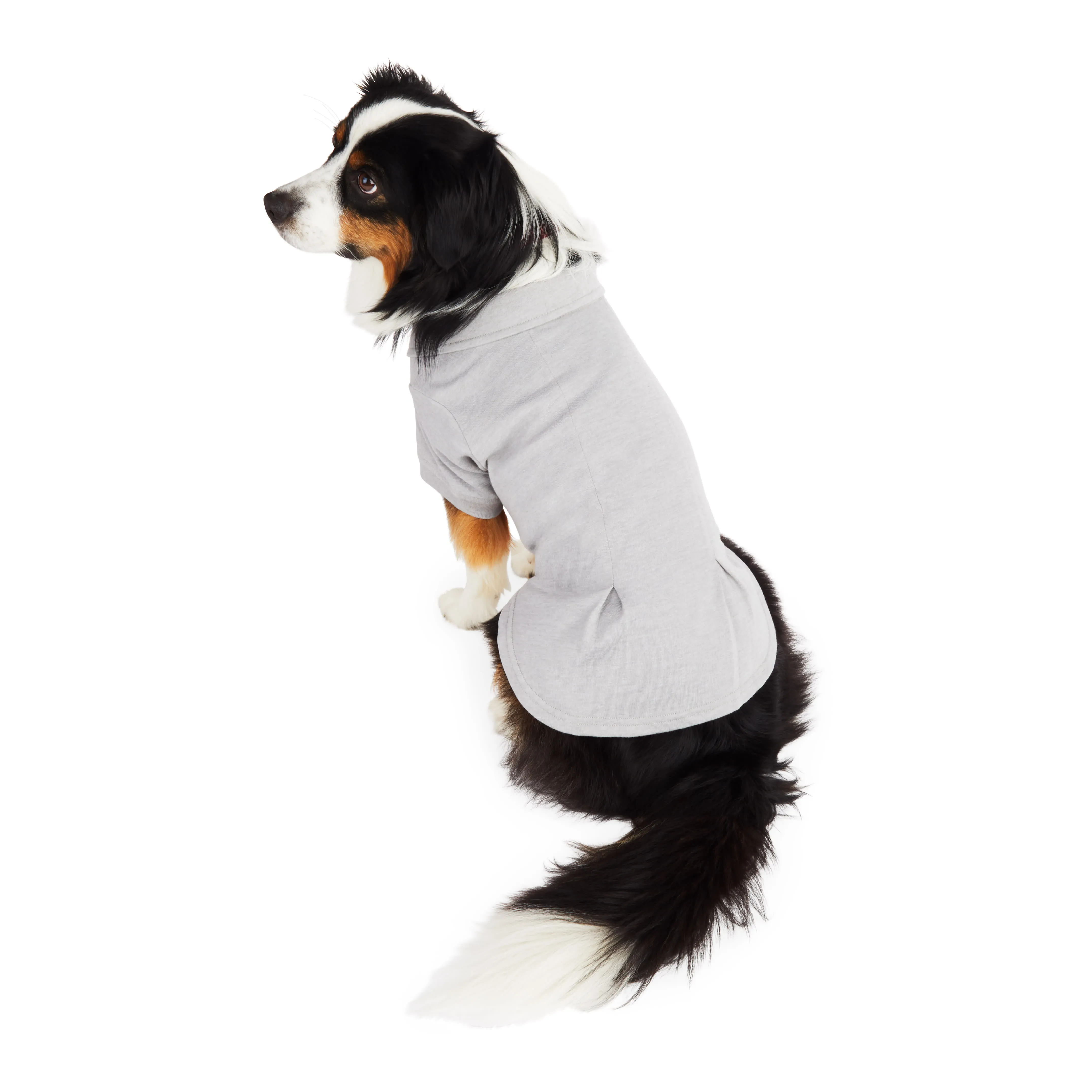 X-Small Grey Pleated Dog Polo Shirt Classic Style, Best Seller