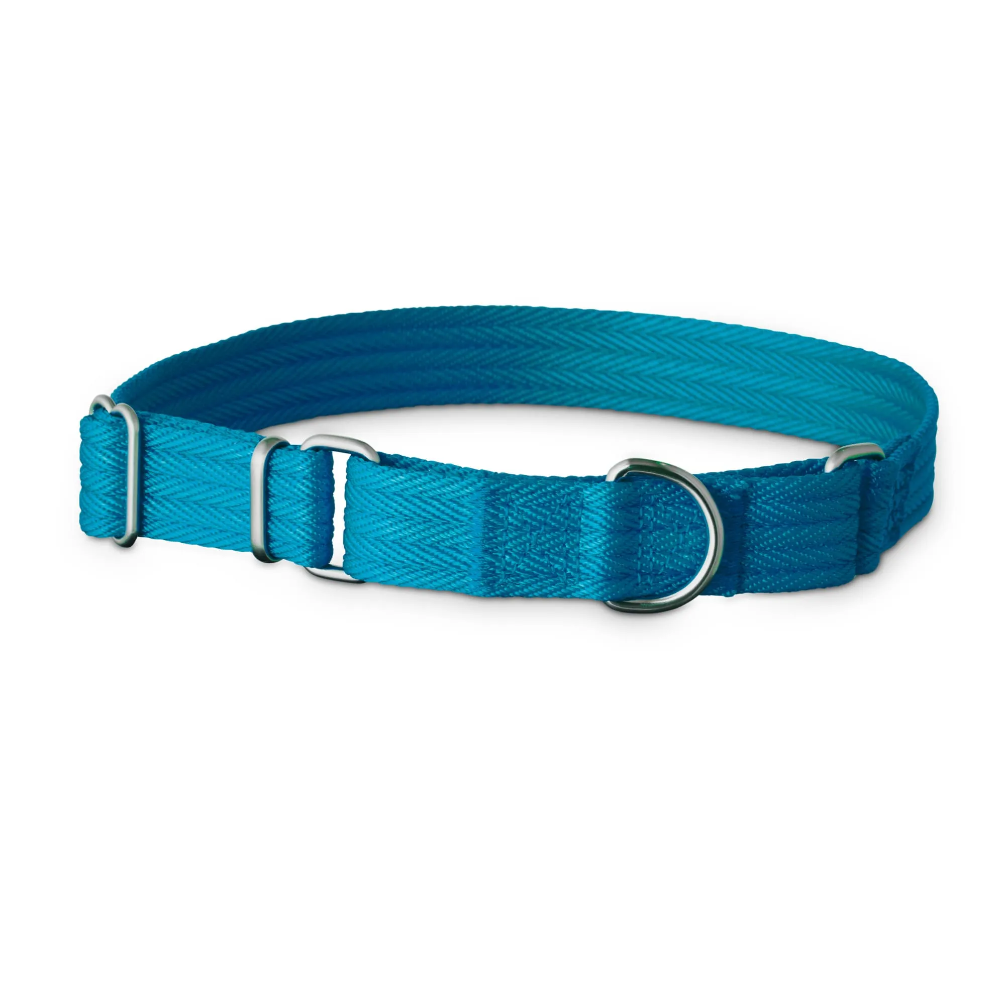 Good2Go Martingale Dog Collar, Teal, Medium From 10,99 € DHgate