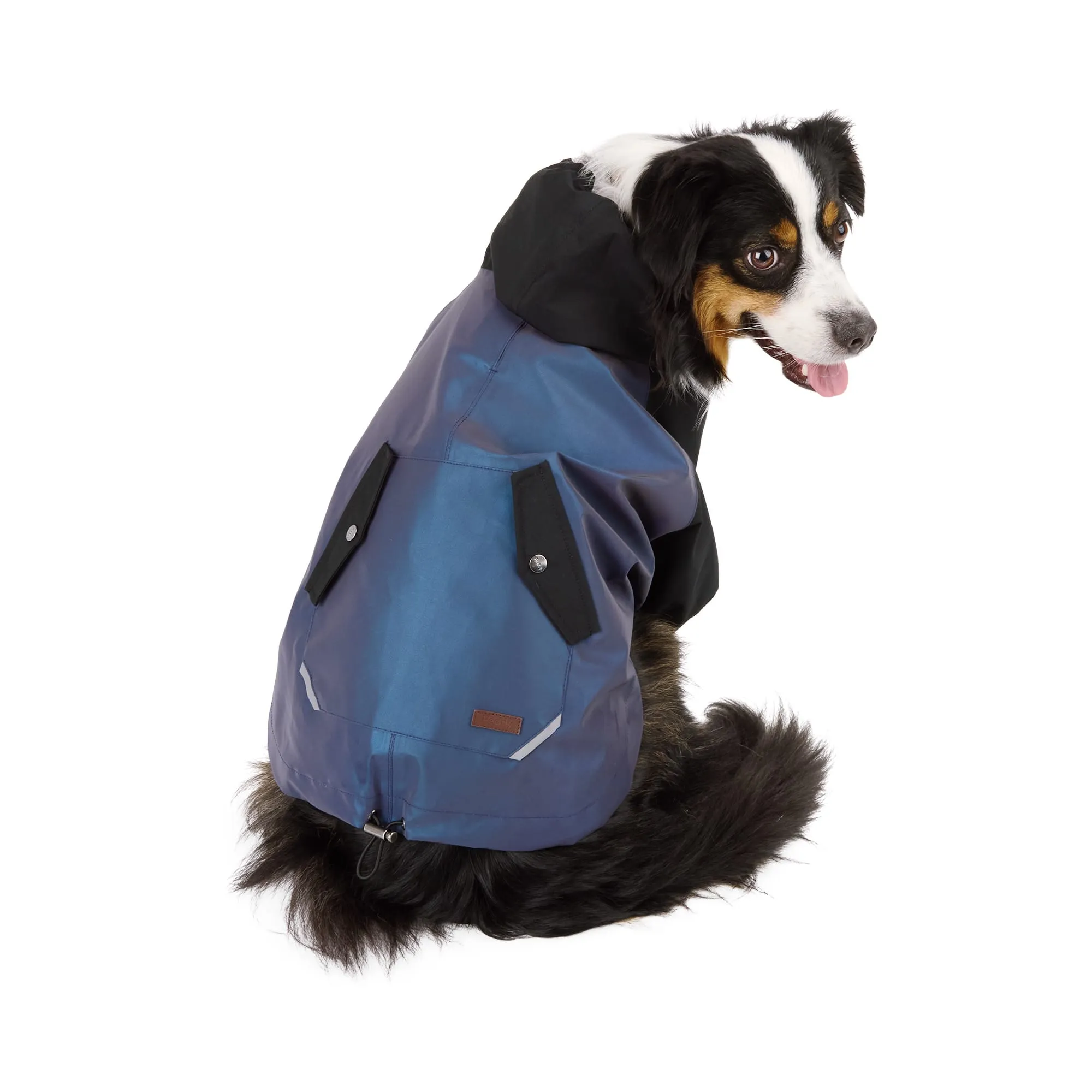 Reddy Ombre Reflective Dog Rain Jacket, Black, Large From 30,46