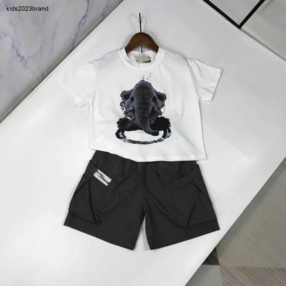 Yeni bebek eşofmanları yaz erkek erkekler iki parçalı set çocuk tasarımcısı kıyafet boyutu 90-150 cm fil baskı tişört ve şort 24 Nisan