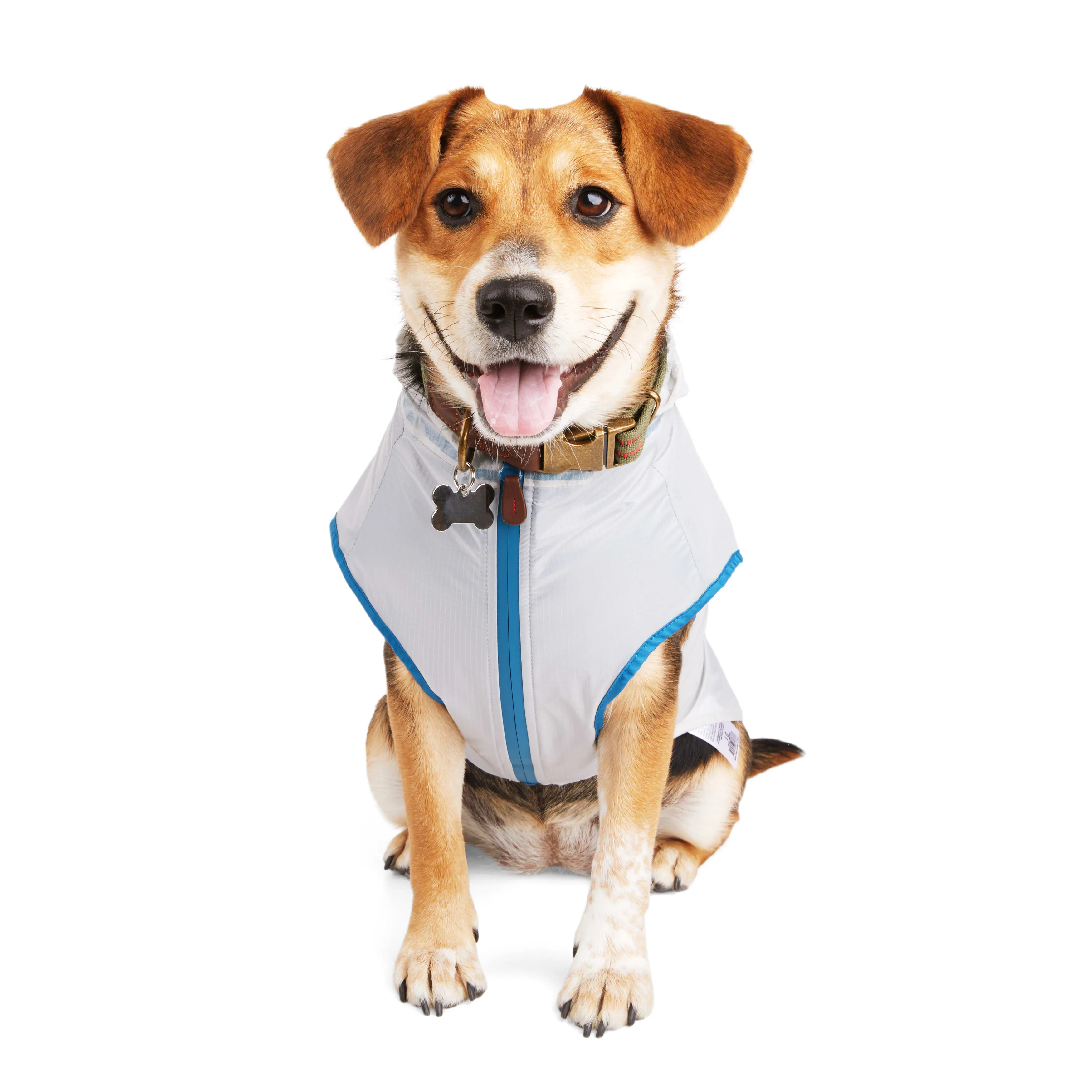 Save Big on Bulk Extra Small Dog Jacket Dog Jean Jacket, Ultra Lightweight  Navy Blue Dog Coat, Weather Resistant Small Dog Apparel For Daily Walks 