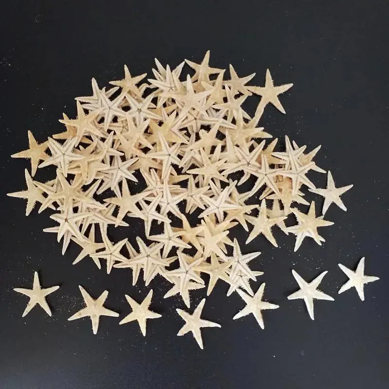 100pcs mini decoração artesanal de estrelas estreladas Estrelas naturais Diy Beach Cottage Wedding Decor Crafts
